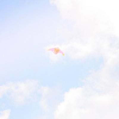仙域幻想手游